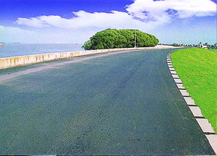 長江九江段濟(jì)益公堤頂公路